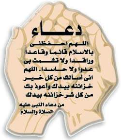 do3aa